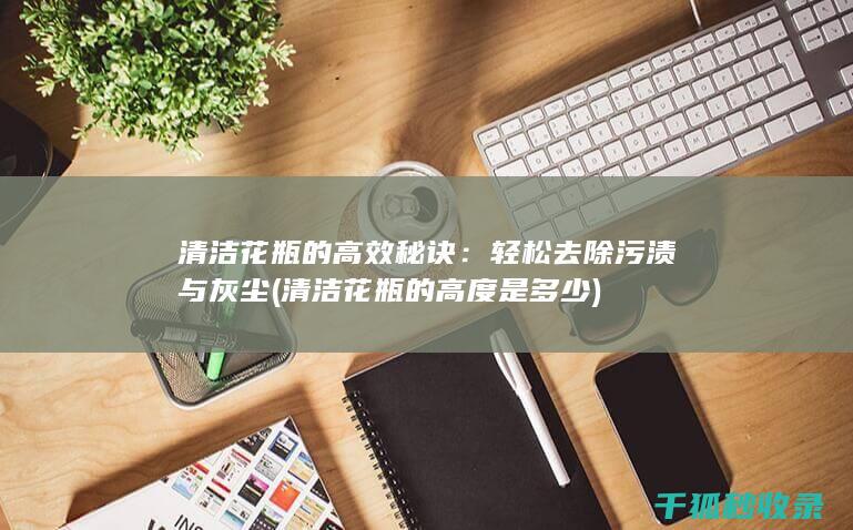清洁花瓶的高效秘诀：轻松去除污渍与灰尘 (清洁花瓶的高度是多少)
